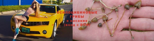 метамфетамин Заводоуковск