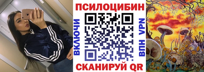 Купить  Вилюйск  Галлюциногенные грибы Magic Shrooms 